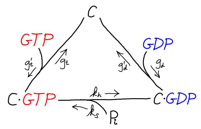 Kenetic Proof C GTP Cycle