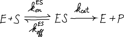 Michaelis-Menten simple equation
