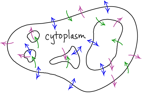 Transport Schematic